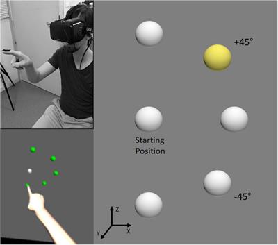 Up right, not right up: Primacy of verticality in both language and movement